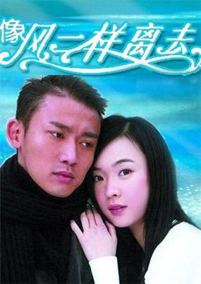 像风一样离去电视剧无删减版