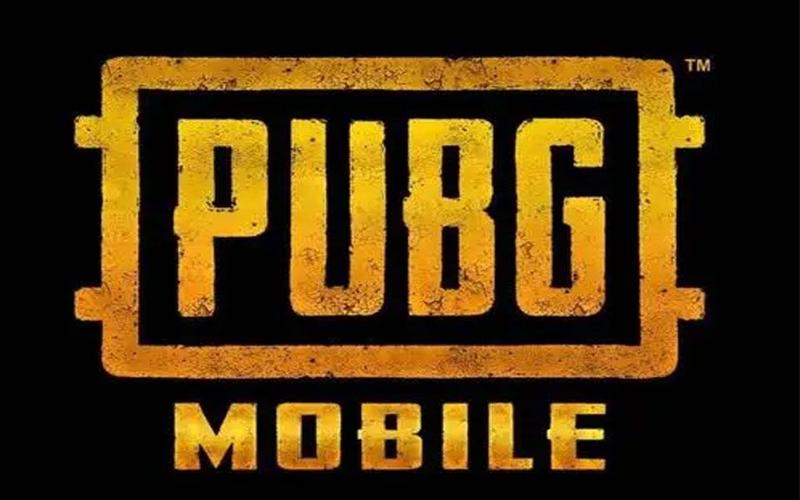 pubg2025官方正版图标