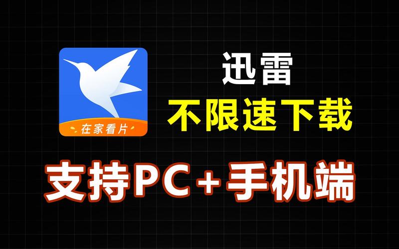 迅雷不限速版本永久免费未删减图标