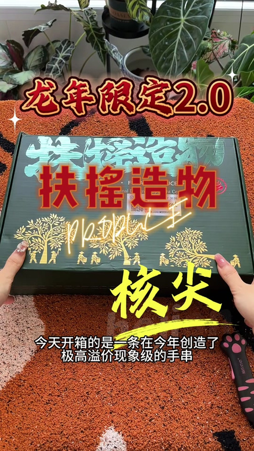 ACFUN黄化龙年限定版本加速永久图标