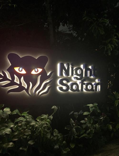 夜晚禁用的100软件黑色版免墙版图标