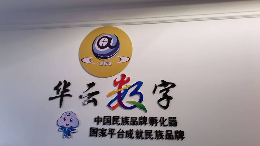 华云联盟修改版永久VIP游戏截图