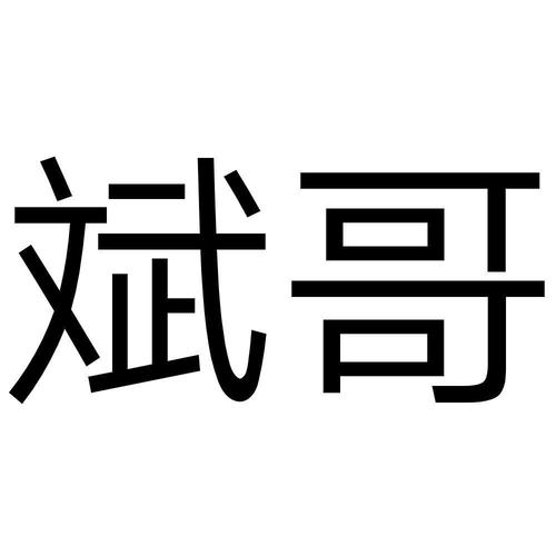 斌哥软件库图标