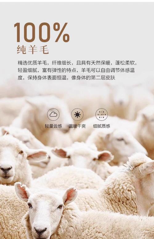 羊毛来了官网手机图标