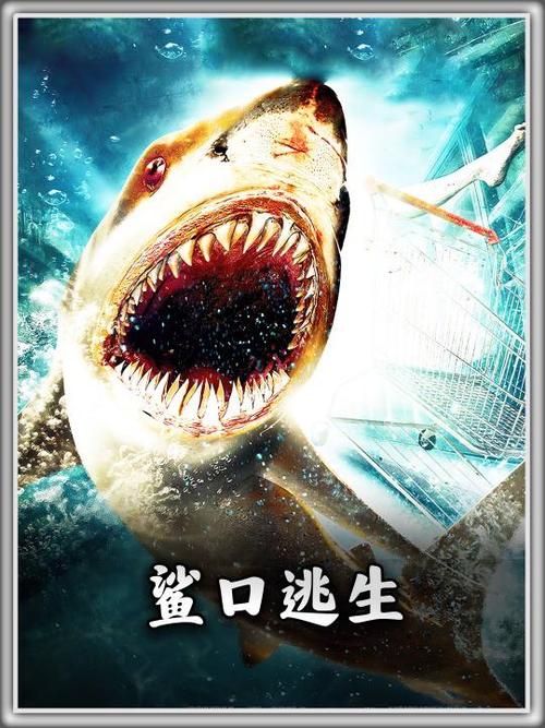 鲨鱼逃生结局缩略图