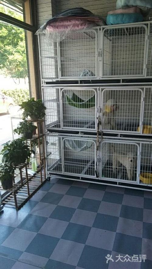 哆咪宠物缩略图