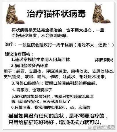 猫杯状病毒传染别的猫
