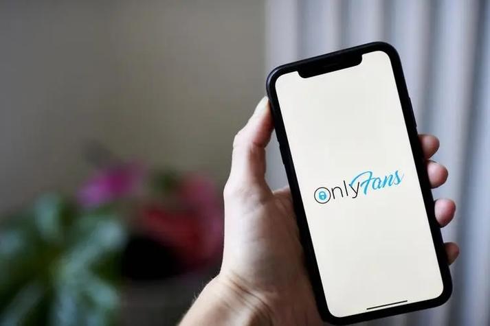 国内OnlyFans怎么用