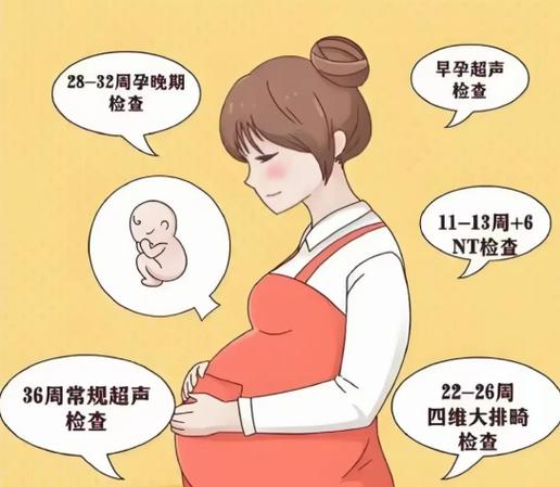 孕妇高危等级A