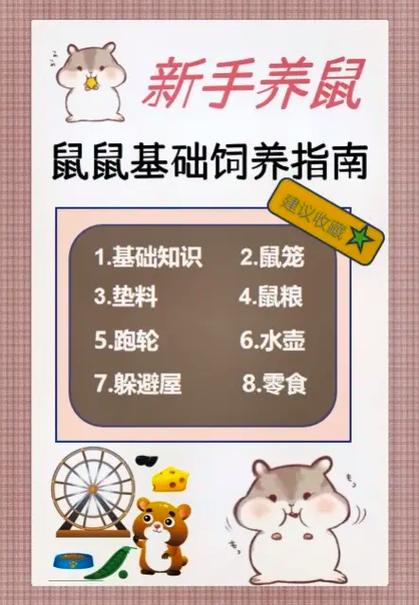 仓鼠能吃大米吗(生的)