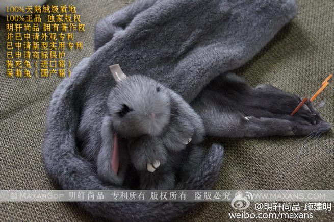装死兔正版盗版区别