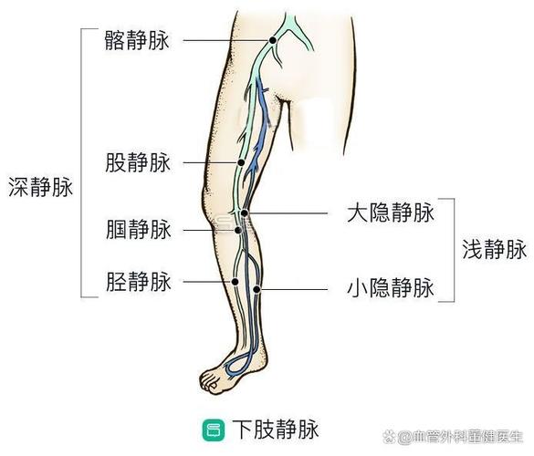 静脉曲张专科医院哪家好