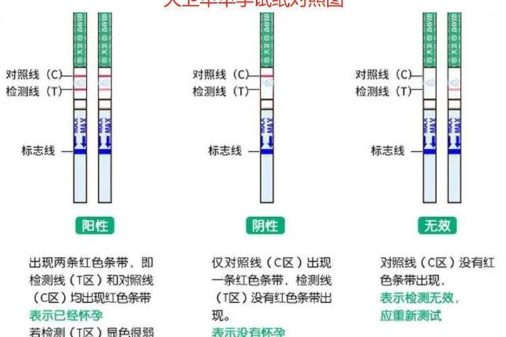 怎么摸肚子知道怀孕了