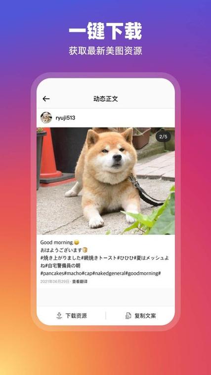 instagram下载正版官方安卓缩略图