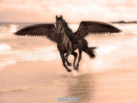 黑马躺着赚钱缩略图
