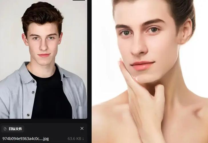 face什么软件