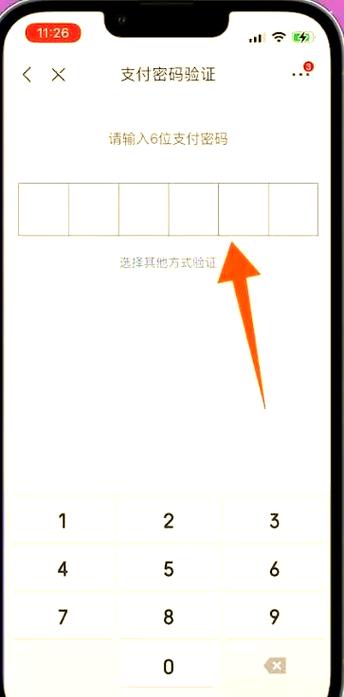 京东白条借款怎么申请图标
