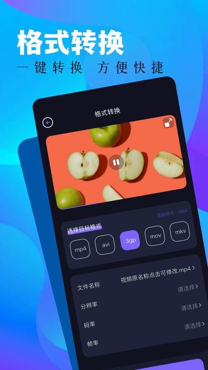 蓝豚豚图标