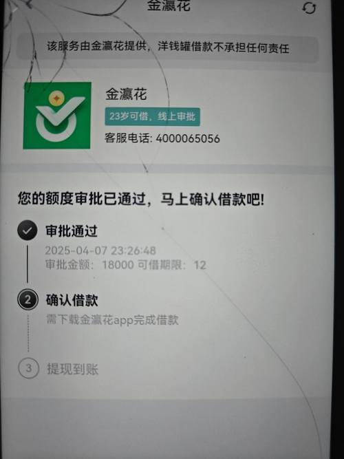 金银花贷款app下载安装最新版本游戏截图