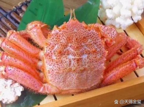 毛蟹价格今日价