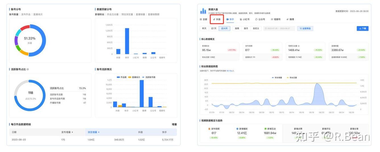抖音数据网站缩略图