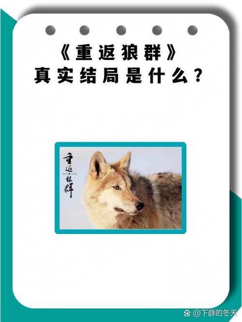 狼群笔趣阁无弹窗免费阅读缩略图