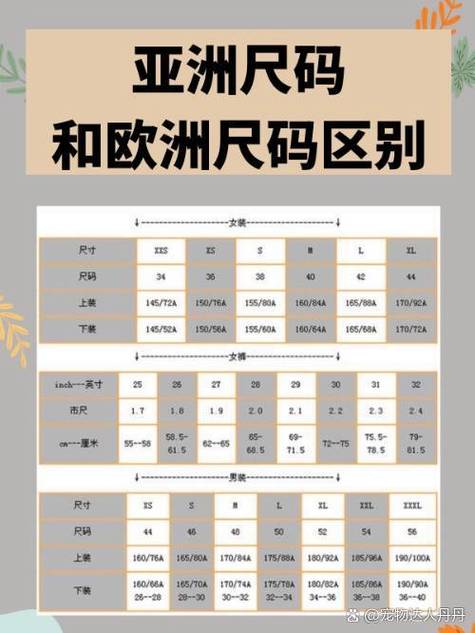 欧洲码与亚洲码的体型差异缩略图