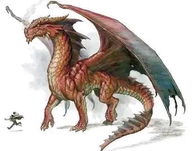 dnd所有龙种缩略图