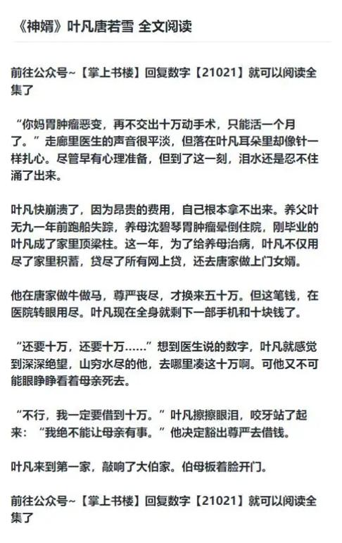 超级赘婿叶凡唐若雪免费阅读缩略图