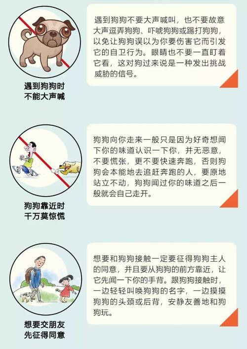 走狗生存守则游戏截图
