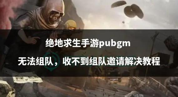 吃鸡无法邀请好友组队图标