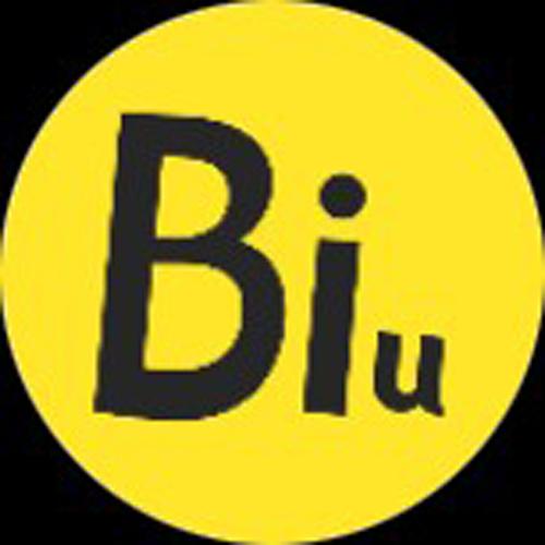 biu神器网站缩略图