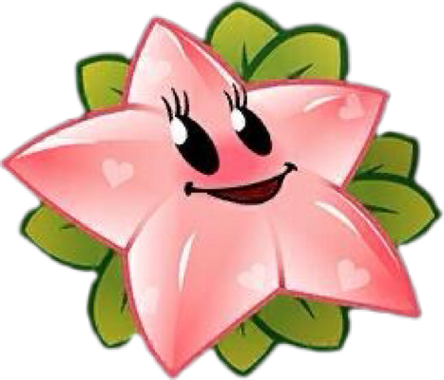 杨桃英语starfruit缩略图