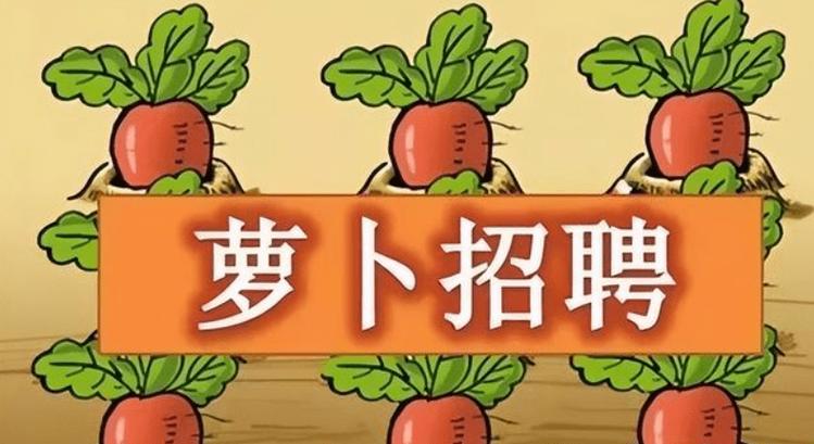 萝卜岗什么意思