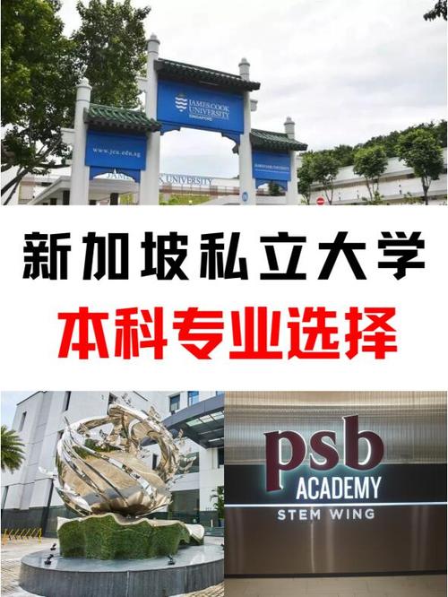 国家认可的国际本科有哪些游戏截图