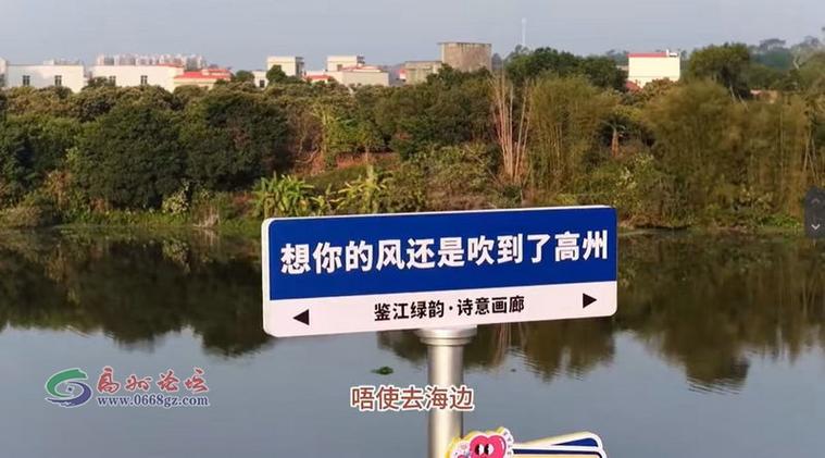 阳光论坛高州论坛缩略图