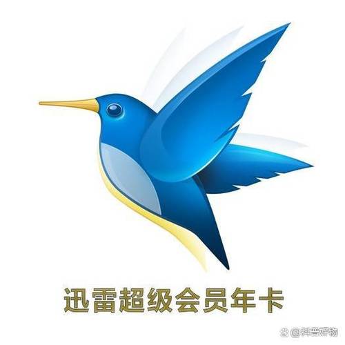 迅雷好用吗缩略图