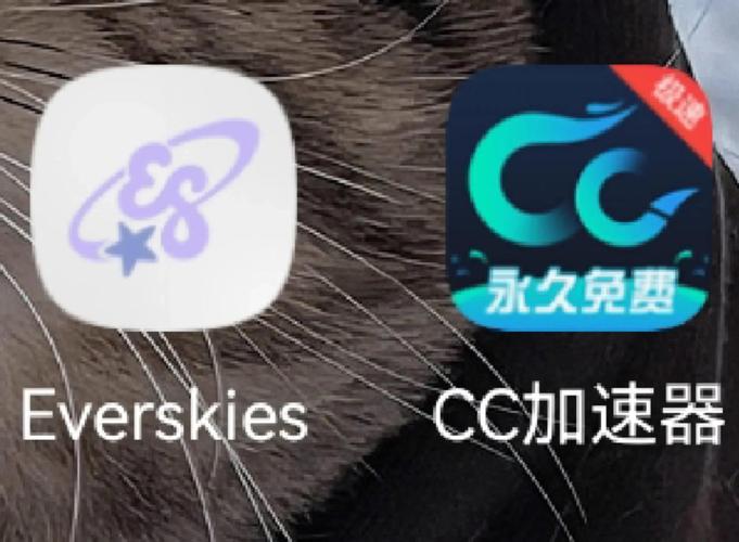 everskies下载缩略图