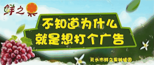 手机无缘无故自己乱点怎么解决图标