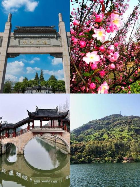 桃花源梅花辅助网图标