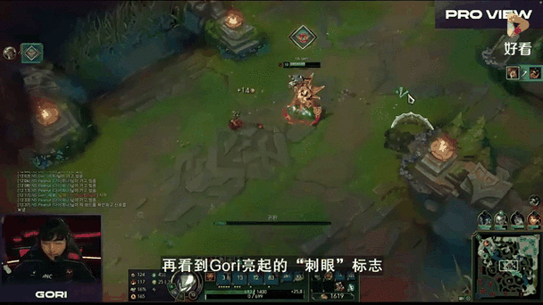 英雄联盟总切屏怎么调游戏截图
