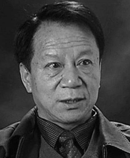 知名演员蔡元元去世游戏截图