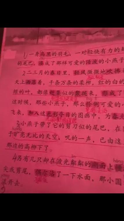 燕子读音缩略图