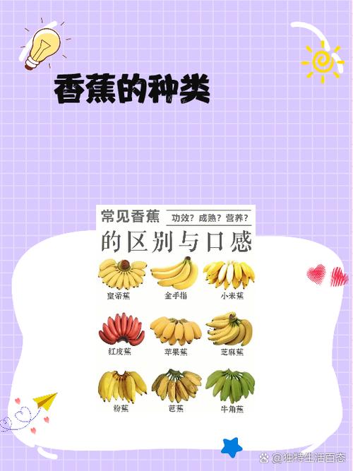小米蕉和香蕉的区别图标