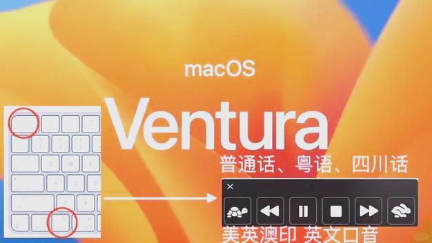 粤语在线朗读工具游戏截图