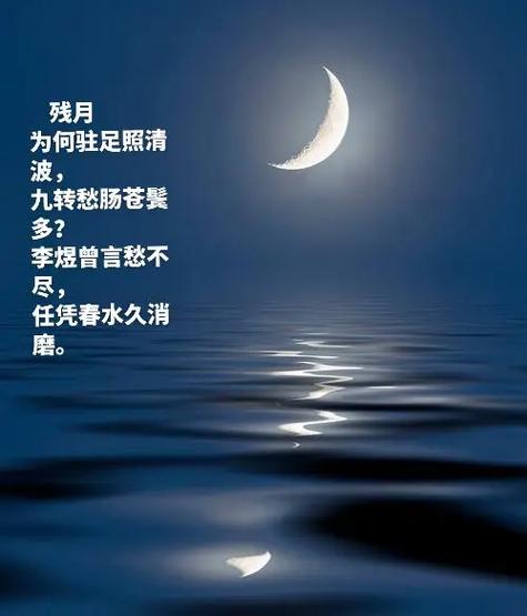 残月官网缩略图