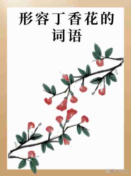 宅阅读含苞待宠游戏截图