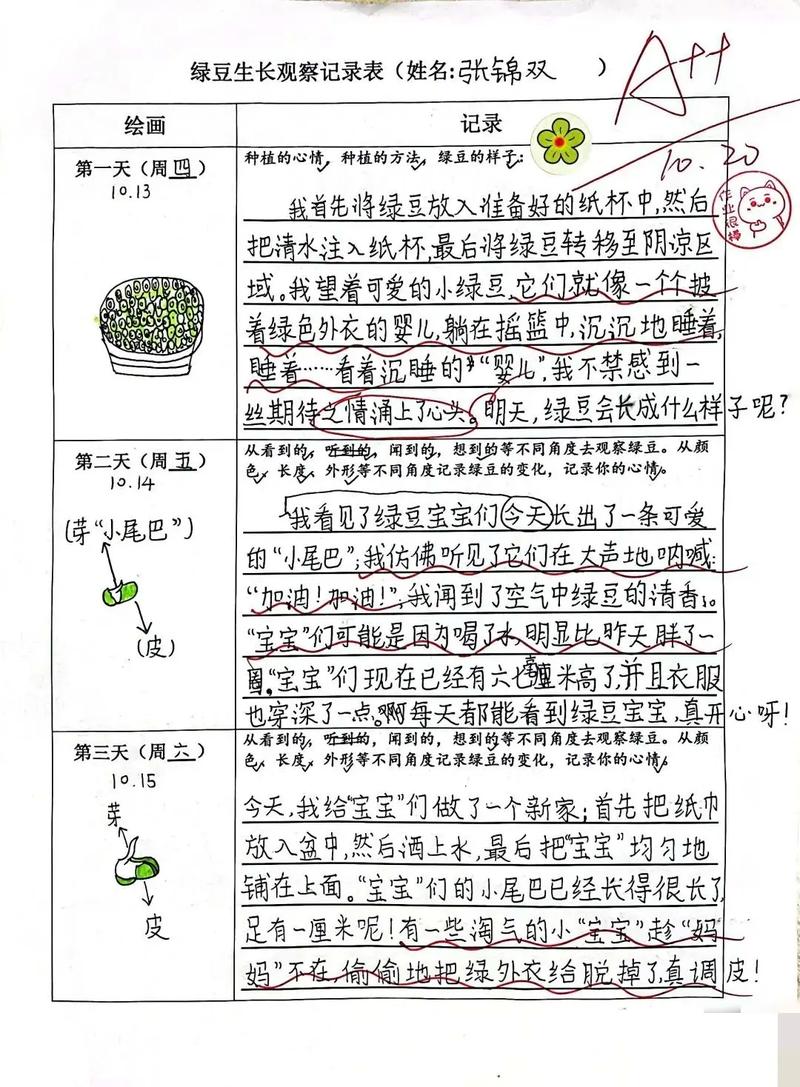 绿豆观察记阅读答案缩略图