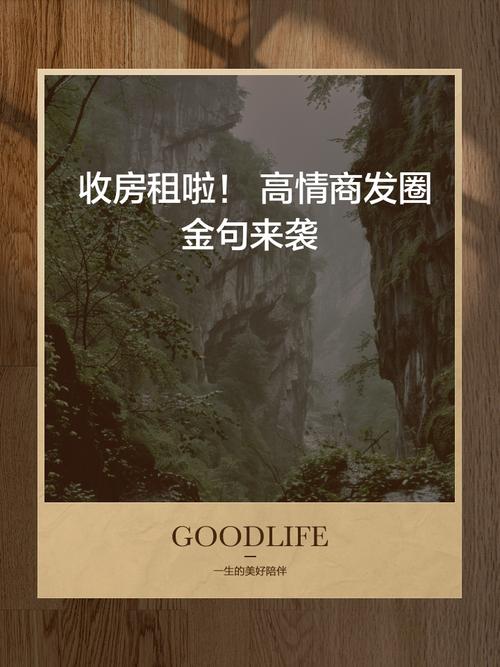 天天嗨收租图标
