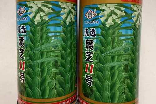 芝麻优选